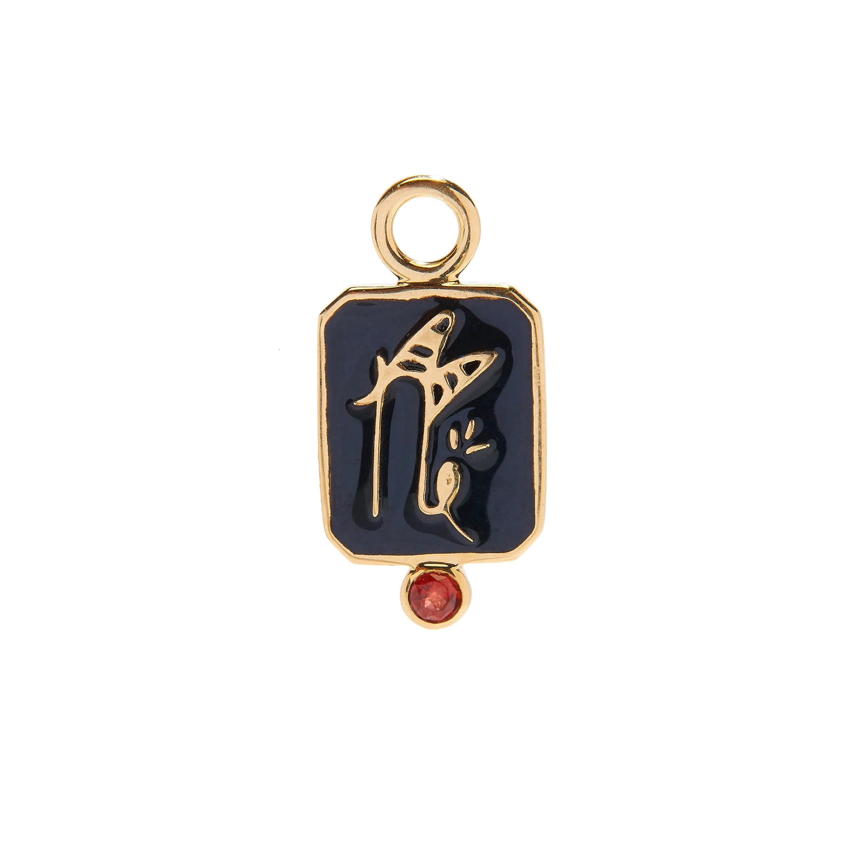 Capricorn Charm