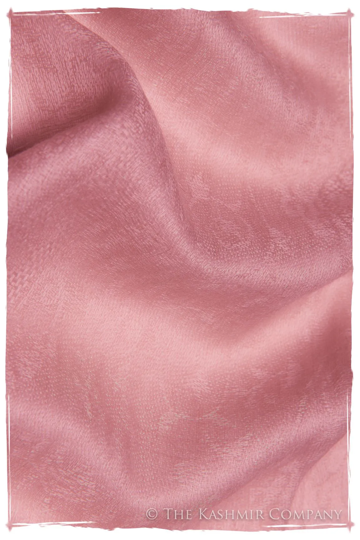 Jacquard Paisley Rosebloom Cashmere Scarf