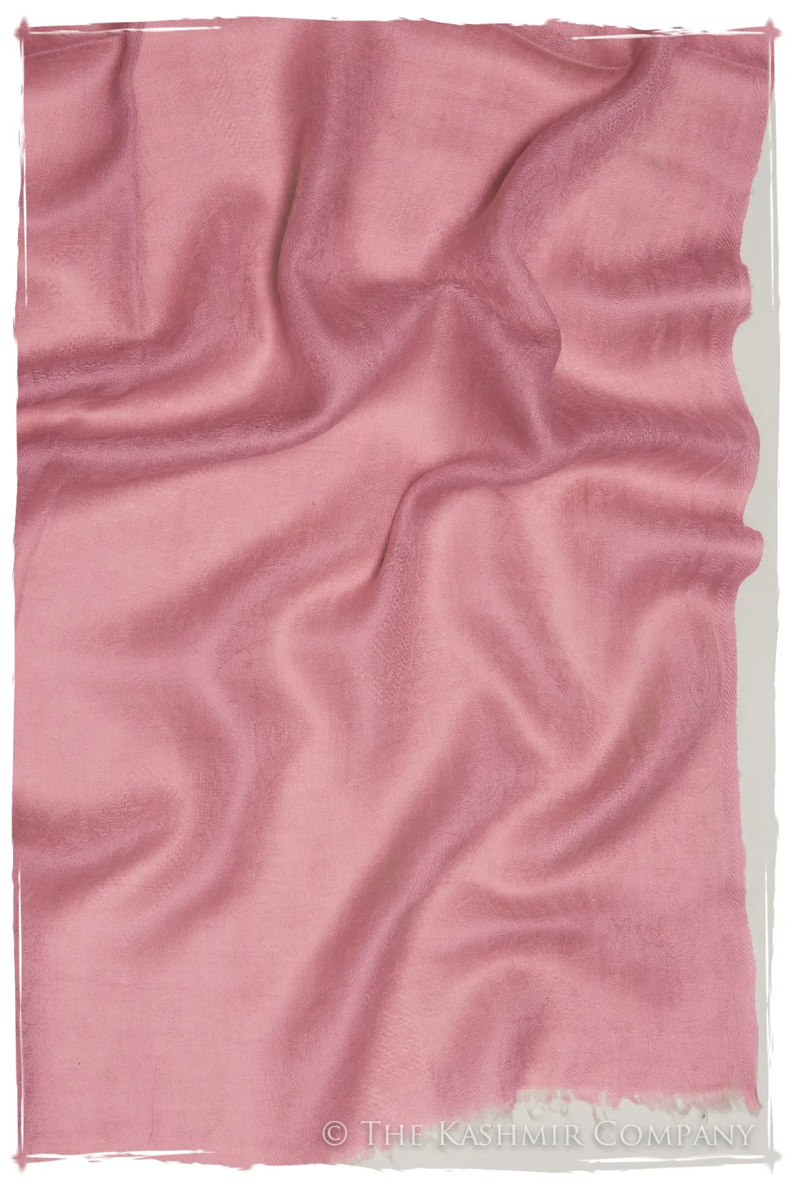 Jacquard Paisley Rosebloom Cashmere Scarf