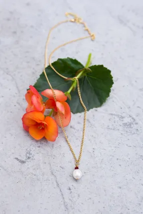 January Birthstone Necklace