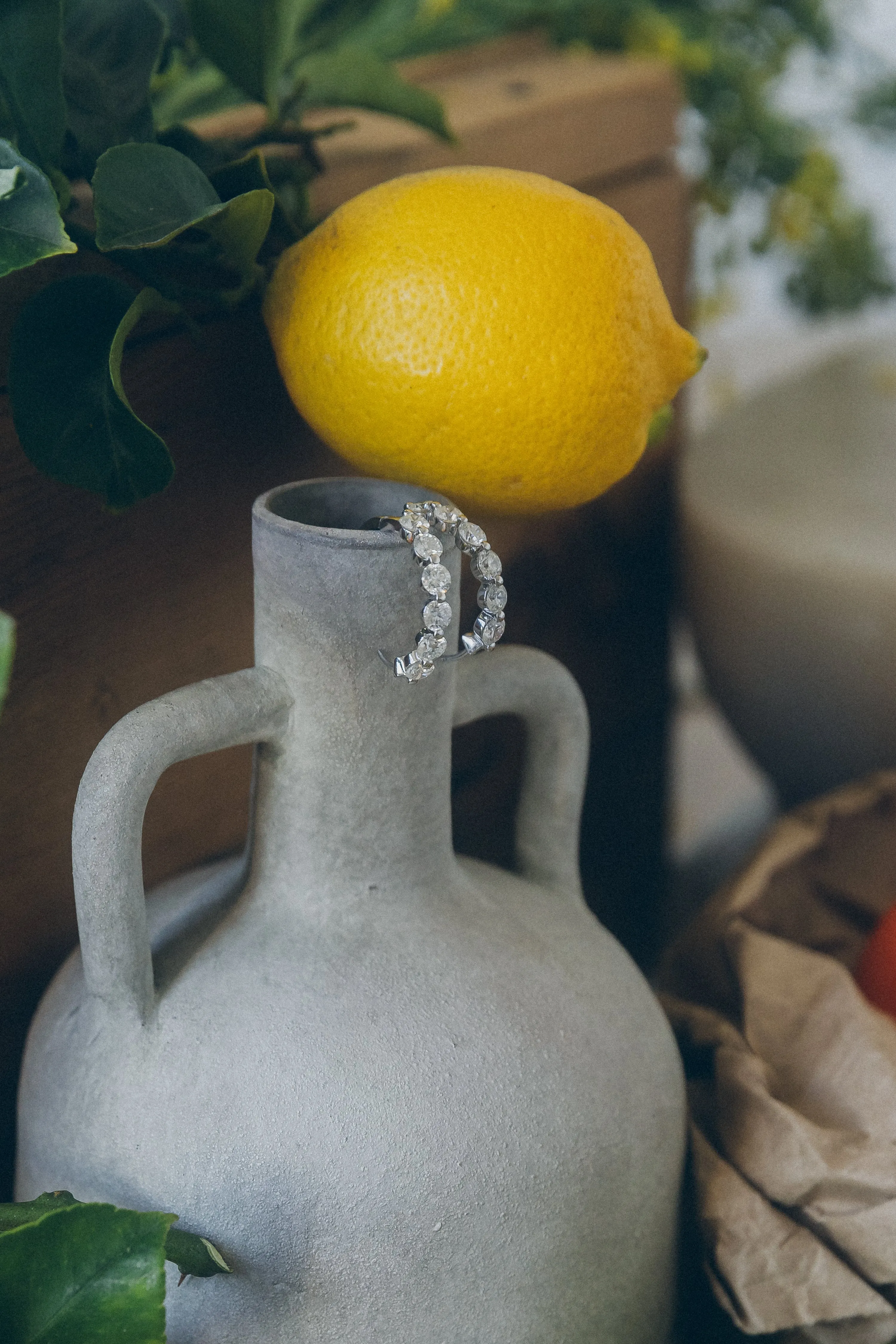 The Multiple Diamond Hoops with 4 Carats