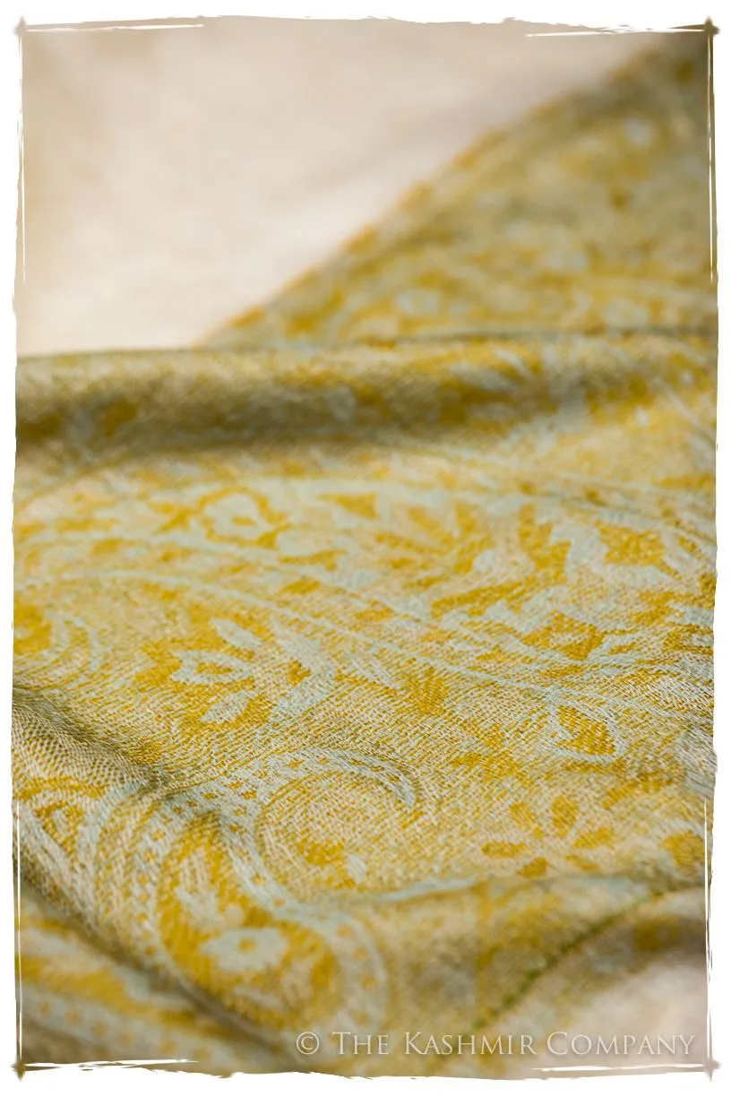 Zineb Paisley Frontière Pashmina Cashmere Scarf
